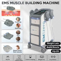 Hot Emszero Neo RF Equipment Machine Beauty med 2/4/5 handtag 14 Tesla Hi-EMT Nova Electromagnetic Muscle Stimulator RF 6500W