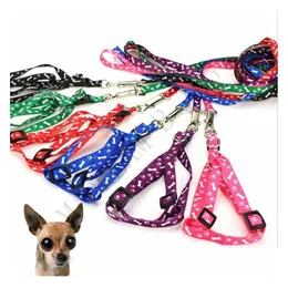 Hundehalsbänder, Leinen, 10 Farben, Geschirr, Nylon, bedruckt, verstellbar, Haustierhalsband, Welpen, Katze, Tiere, Zubehör, Halskette, Seil, Krawatte, Drop-Lieferung