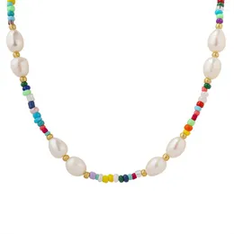 Choker Fashion Artificial Pearl Women's Halsband Rostfritt stålfestflicka gåva