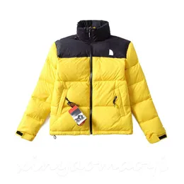 TNF-2-4 "1996Nuptse" Counter level, designer coat, men's winter down jacket women's jacket, Northern warm parka top men's down jacket, top quality