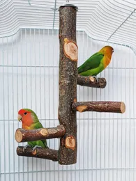 Andra fågelförsörjningar Pet Parrot Standing Stick Wood Pole Cockatiel Parakeet Abboror Bite Claw Sliping Toy Cage Accessories 230909