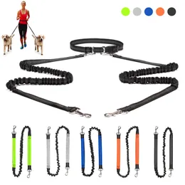 Dog Collars Leashes Hands Free 2 Dog Leashes Bungee Retractable Pet Running Waist Leash for Walking Jogging Training Hiking For Large Dogs Supplies 230911