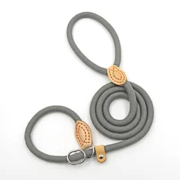 Collari, Pettorine E Guinzagli Per Cani 🐕 | Pet Products - Foto 2