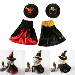 Cat Costumes Pet Halloween Assume Assume for Dogs Festival Party Props Witch Hat Cloak Set Clothing Po