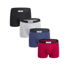 Underpants Feichan Ashion Men's Cotton Underwear Inverno Espessamento Térmico Boxer Briefs para Homens Suporte Bolsa Calças Curtas Homem