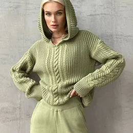 Woolen Sweaters Women Casual Hooded Knitted Sweater Long Sleeve Pullover Tops Free Ship