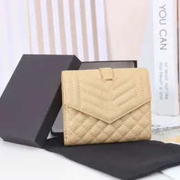 디자이너 지갑 카드 소지자 프랑스 파리 격자 무늬 스타일의 럭셔리 레이디 지갑 작은 디자이너 여성 지갑 지갑