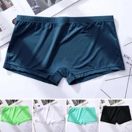 Underpants 남자 복서 통기성 탄성 단색 낮은 허리 울트라 층 반면 습기 사악한 친밀한 내부 마모 c