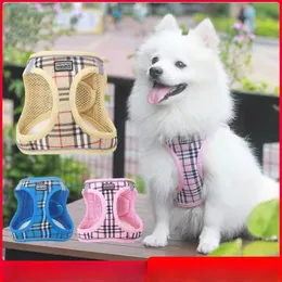 Hundehalsbänder, Designer-Halsbänder für Hunde, Katzen, Brust und Rücken, Anti-Lockerung, Zugseil für Katzen und Hunde, kleiner Hund