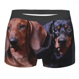 Cuecas masculinas boxer sexy roupa interior macio longo boxershorts bonito dachshund cães calcinha masculina