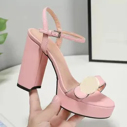 summer Women sandals Luxury Designer classic Buckle Genuine leather shoe platform 13CM heel Strap big size shoes 35-42 High heels sandal Free postage