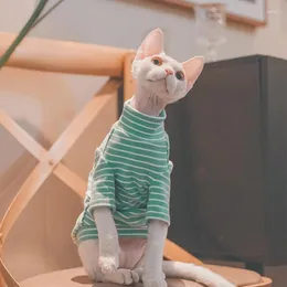 Trajes de gato roupas sphynx velo casaco mangas compridas macio despojado undershirt para gatinhos cães devon rex bonito macacão primavera e au