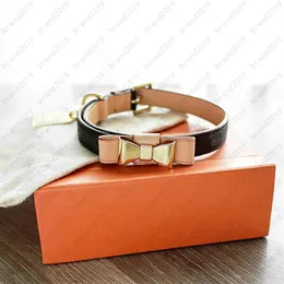 Beliebter Stil, Luxus-Haustierbedarf, Outdoor-Halsbänder, Leder, Hundehalsbänder, Leinen, 5A, hochwertiges Designer-Welpen-Kitty-Halsband mit der Box258I