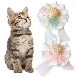 Vestuário para cães elegante chapéu de palha para animais de estimação vestido bonito adorável roupa casual