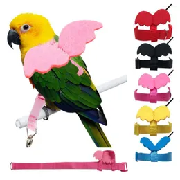 Altre forniture per uccelli Imbracatura regolabile Pappagallo Inseparabile Piccioni Budgie Canary Cinghie di corda da trazione per volo all'aperto Fascia per Cockatiel Piccolo