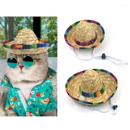 Kedi Kostümleri Saman Dokuma Köpekler İçin Meksika Tarz Şapkası Yaz Yaramaz Partisi Pet Güneş Yalıplı Ayarlanabilir Boyun Kayışı