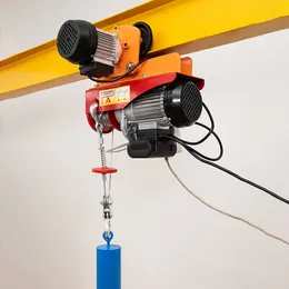 Customized small hoist with remote control micro crane multifunctional lifting hoist