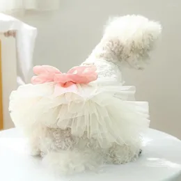 Vêtements pour chiens Charmante robe pour animaux de compagnie Adorable Costume Puffy Sash Dentelle avec broderie florale Mesh Patchwork pour petits chiens