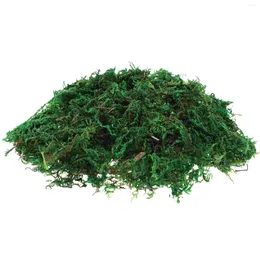 Decorative Flowers Gardening Fake Moss Dried Flower Decor False Preserved Potted Plants Bonsai Green Faux Greenery