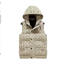 Kamizelki męskie kamizelki męskie w dół kurtka zima parkas g designerskie dłany płaszcz z kapturem wodoodpornym dla mężczyzn i kobiet kurtka z kapturem wiatrówki HKD230918