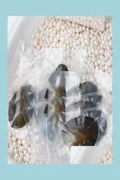 Ganze Austern aus Perlen mit gefärbten Naturperlen im Inneren, offen zu Hause in Vakuumverpackung, Drop-Delivery-Schmuck Dhasg6101250