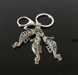 Euramerikanischer Schlüsselanhänger mit Seepferdchen-Perlenkäfig zum Öffnen, hohler, nachtleuchtender Vulkanstein-Anhänger, Schlüsselanhänger 6252700