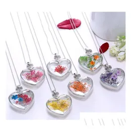 Colorf Collana di fiori secchi decorativi 21 colori Ciondolo Piante di fiori secchi naturali Gioielli Cuore Metallo Vetro Bel regalo Consegna a goccia Dhe9F