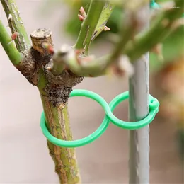 Trädgårdsförsörjning 20/50/100 st anläggningshållare Trellisklämmor för Vine Vegetable Tomato Growing upprättstående verktyg