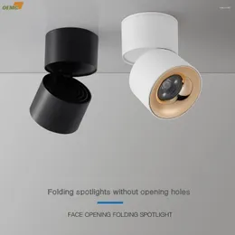 Luzes de teto montadas em superfície LED Downlights COB pode girar 360 ° Anti-reflexo Sala de estar Cozinha 7W10W 12W 15W Iluminação de corredor