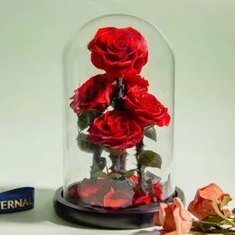 Juldekorationer Eviga bevarade rosor i Glass Dome 5 Blommhuvuden Rose Forever Love Bröllop Favor Mothers Day Gifts For Women Glänner 230919