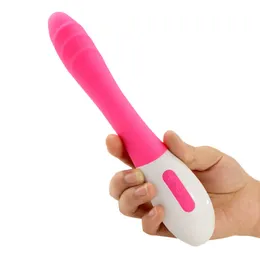 sex massagerNew USB charging silicone vibrator adult products Fairy