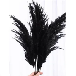 Christmas Decorations 5pcslot Large Pampas Grass Dye Natural Flowers Black Reed Flores For Living Room Shop Meeting Decortion Free Shopping 230919