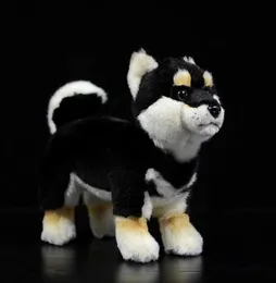 28cm Shiba inu Real Life Standing Standing Japanady Black Dog Pet Doll Soft Lifelike Pristed Animal Cute Kids Toys Toy