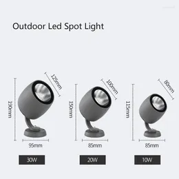 High Luminous Efficiency 10W 20W 30W Lawn Lamp For Garden Lighting AC85-265V Spike Waterproof