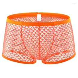 Cuecas masculinas boxers transparente cintura baixa buraco estiramento malha roupa interior respirável calcinha sólida shorts boxershorts