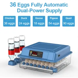 Inkubatorer 36 24 Automatisk ägginkubator för ägg som kläcker broder gårdsutrustning fåglar kyckling kyckling inkubator helt 230920