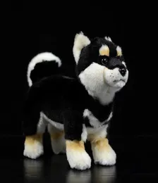 28cm Shiba inu Real Life Standing Standing Japanace Black Dog Pet Doll Soft Lifelike firfed Animal Cute Kide Toys Toy
