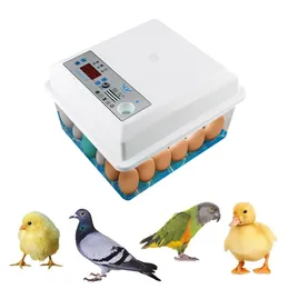 Inne dostawy PET 20 jaj inkubator Brooder Ptak przepiórka wylęgarnia wylęgarnia drobiu wylęgarnia Turner Automatyczna kontrola temperatury 220V 230920