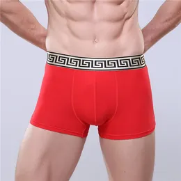 Underbyxor boxare för män shorts mäns trosor boxershorts underkläder för man andningsbara boxare manlig sexig mjuk ren bomull n