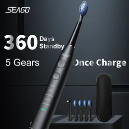 칫솔 Seago 전기 음파 칫솔 USB 충전식 성인 4 대체 헤드 선물 선물 SG-575 230921과 함께 360 일 길이의 배터리 수명