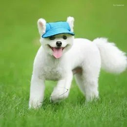 Psa odzież Pet Cat Hats Outdoor Sunbonnet na prezenty urodzinowe Puppy Mini Solid Cap Baseball Ccessories Drop