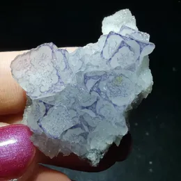 Dekorativa figurer 13 Grare Natural Purple Edged Fluorit Crystal Quartz Mineral Prov Rock Protogem Halo Energy Healing