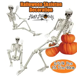 Outros suprimentos para festas de eventos 258 Pcs Esqueleto de Halloween Articulações móveis posáveis realistas ossos humanos modelo decoração casa assombrada horror prop 230923