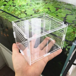 Reptilförsörjningar transparent akrylbox terrarium för reptil och amfibisk cricket sköldpadda spindel snigelglas skydd terarium terraria gecko 230923