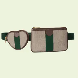 Fashion waist bag Women's zero purse Classic style design 2-piece leisure bag305D