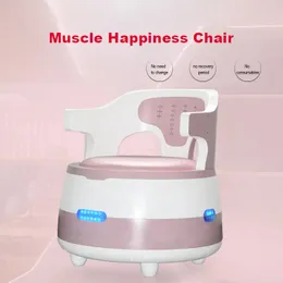 Non-invasive EMS Pelvic Floor Muscle Postpartum Repair Instrument HI-EMT Incontinence Therapy Blood Circulation Promoting Kegel Exercise Chair
