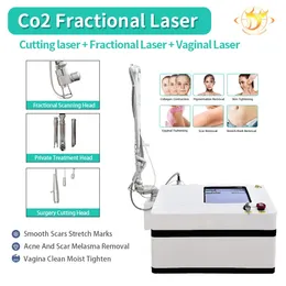 Fractional Co2 Laser Machine Face Care Skin Rejuvenation Wrinkle Acne Scar Remover Anti Aging Stretch Mark Treatment Vaginal Tightening Equipment500