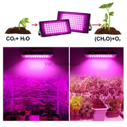 Grow Lights 50W 100W Full Spectrum LED Grow Lights med EU Plug and Switch IP65 Phyto Lamp för växthushydroponisk växtens tillväxtbelysning YQ230926