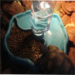 Réptil fornece alimentador de animais de estimação 2 em 1 placa de alimentação automática de alimentos de água lagarto tartaruga dispensador répteis anfíbios 230925