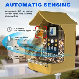 Gartendekorationen Outdoor wasserdichte intelligente Fenster Bird Feeder Wildlife Pavillon Feeding Wassering Accessoires mit Kamera 230925